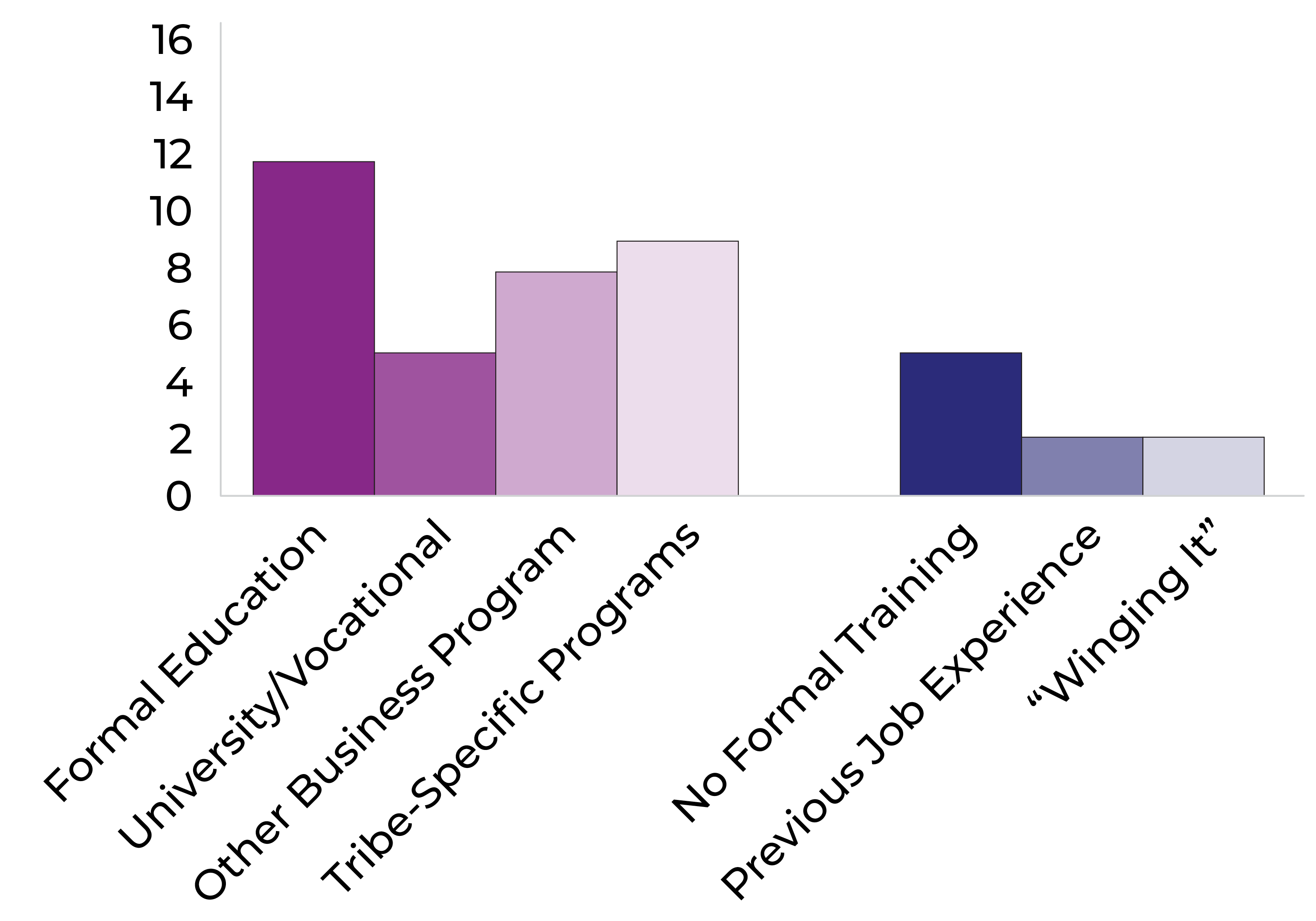 The chart illustrates that formal education is the most common source of training at around 14, followed by tribe-specific programs at 12, other business programs at 10, and university/vocational programs at 8. On the informal side, no formal training accounts for approximately 6, previous job experience for 4, and winging it for 2.